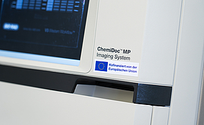 BioRad Chemidoc MP-Imaging Instrument_EFRE